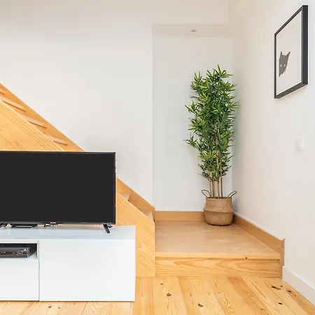 Belem Design By Homing *